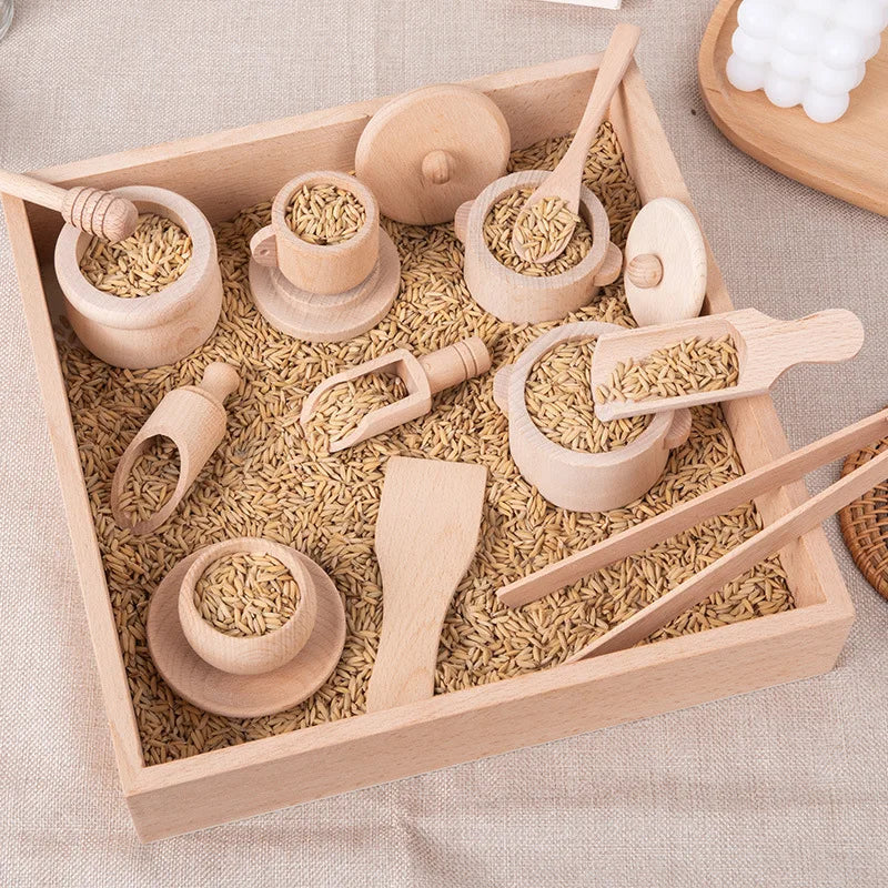 Montessori Sensory Enlighten Puzzle Toys Set