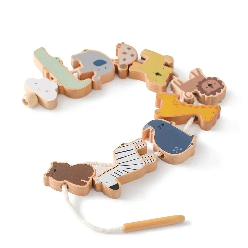 Montessori Sensory Toys